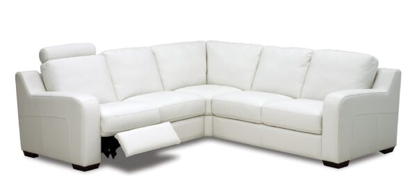 Flex Sectional by Palliser